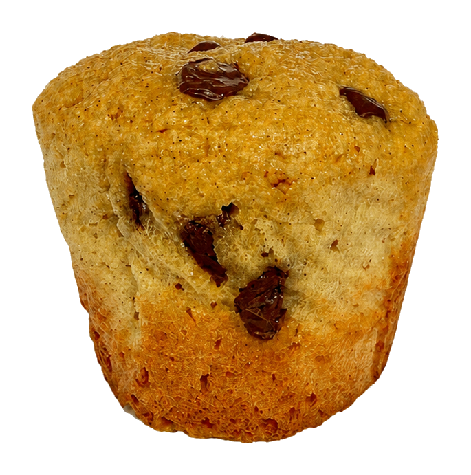 Chocolate Chip Muffin